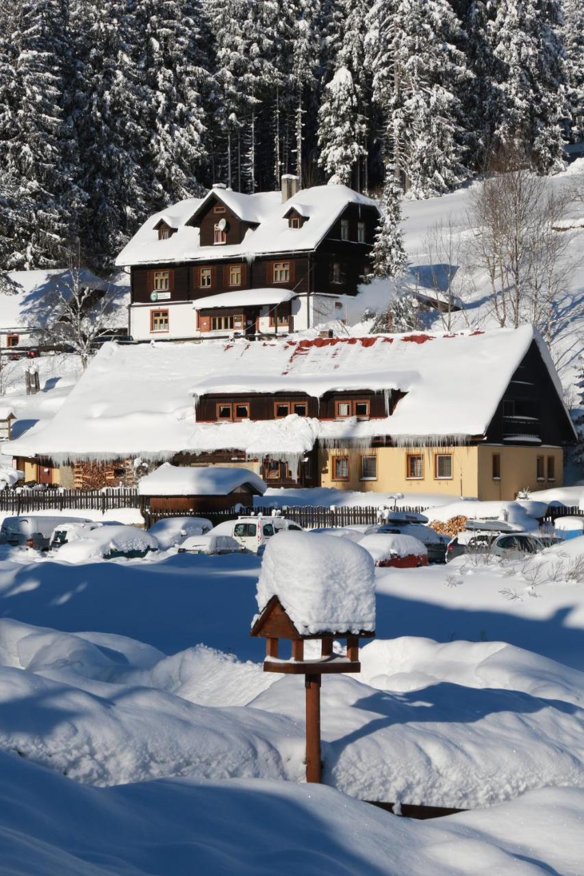 Pension Arnika Modrava Exterior foto
